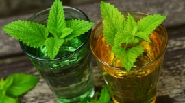 Herbal trend w SPA, czyli zabiegi na bazie ziół Uroda, LIFESTYLE - Rosnąca liczba obiektów SPA wymaga od ich twórców coraz bardziej kreatywnego podejścia do oferowanych zabiegów, wyszukanej atmosfery, pasującej do charakteru wnętrza, a przede wszystkim motywu przewodniego, który będzie wpisany w filozofię danego miejsca.
