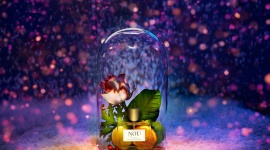 Jak przechowywać perfumy